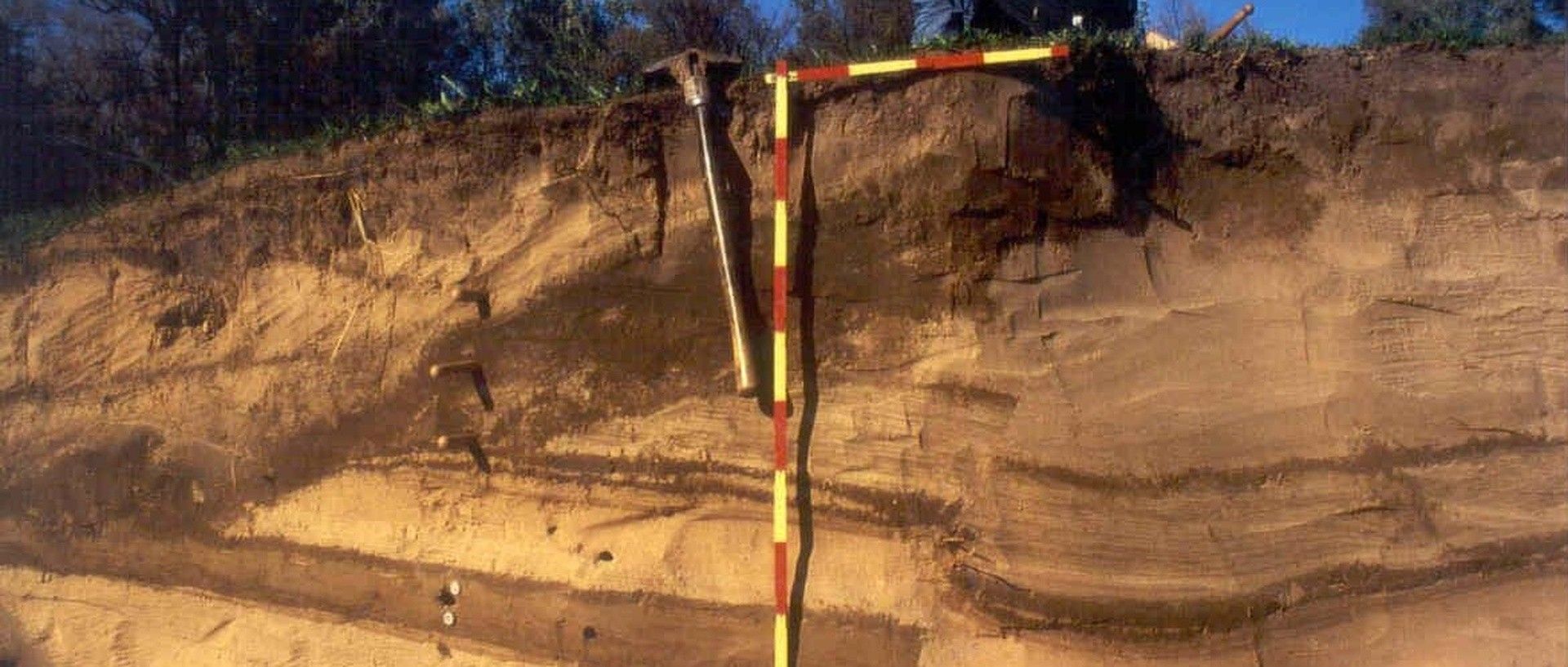 Sedimentgeochemie